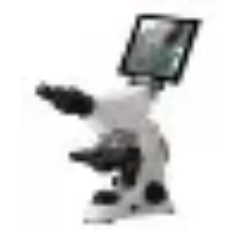 Medical Lab Microscope - 2026년형 신형 스테인리스 스틸 의료 실험실