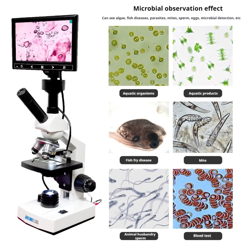 HD 스크린 디지털 현미경 생물 현미경 400배율 세포 - Medical Lab Microscope 리뷰 및 가격