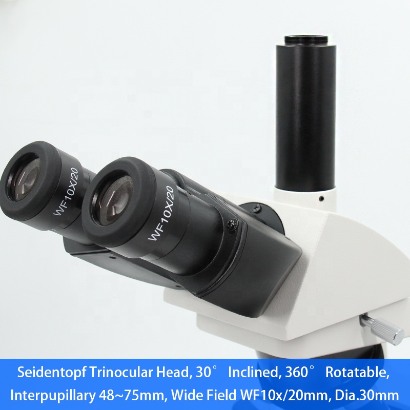 40x-1000x 무한대 광학 시스템 삼안 의료 실험실 - Medical Lab Microscope 리뷰 및 가격