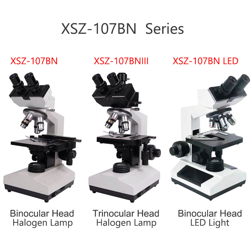 Xsz-107bn 전자 실험실 복합 생물학적 쌍안경 의 - Medical Lab Microscope 리뷰 및 가격
