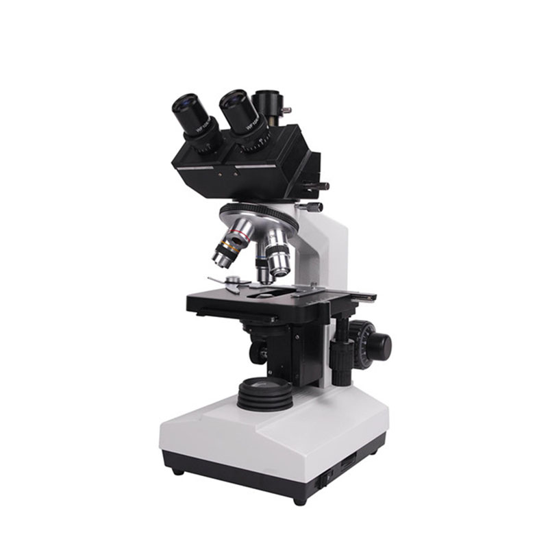 Xsz-107bn 전자 실험실 복합 생물학적 쌍안경 의 - Medical Lab Microscope 리뷰 및 가격