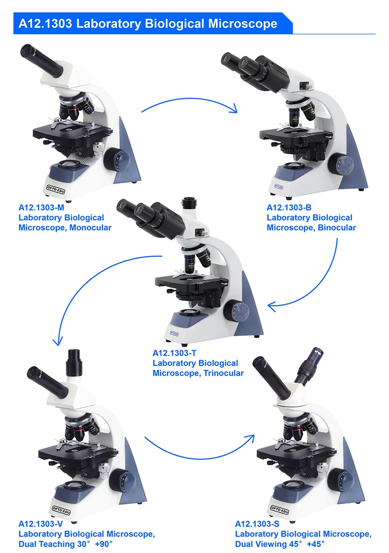 OPTO-EDU A12.1303-B 40x~1000x  - Medical Lab Microscope 리뷰 및 가격