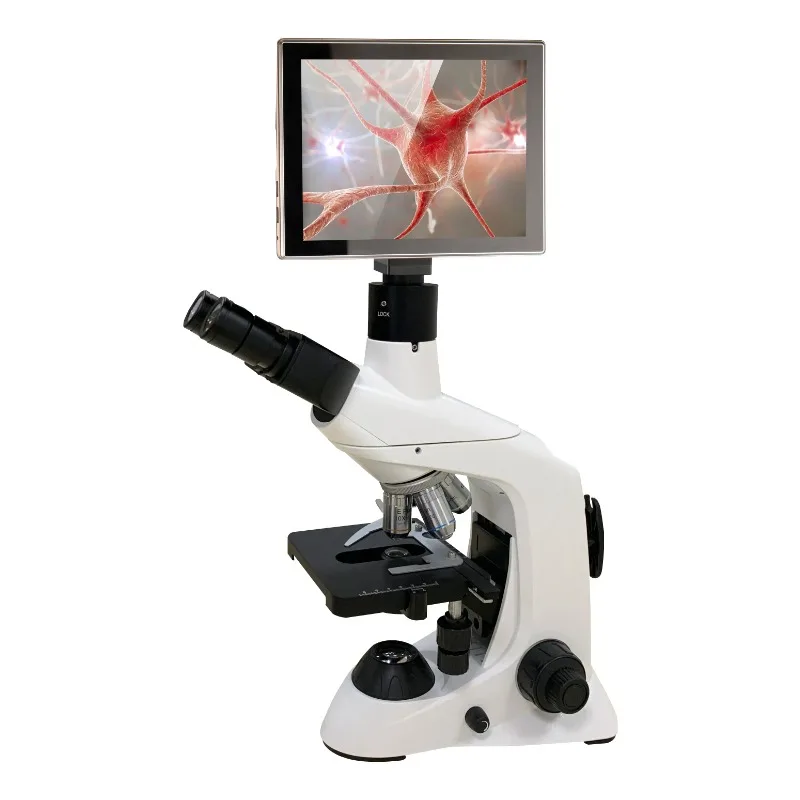 2026년형 신형 스테인리스 스틸 의료 실험실 생물 현 - Medical Lab Microscope 리뷰 및 가격