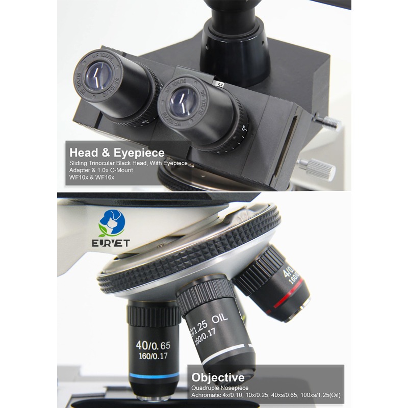 2026년형 의료 실험실 디지털 생물학 현미경 (과학자 - Medical Lab Microscope 리뷰 및 가격