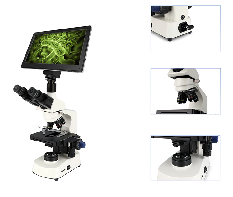 HC-B079A 저렴한 전자 현미경 의료 실험실용 전자 - Medical Lab Microscope 리뷰 및 가격