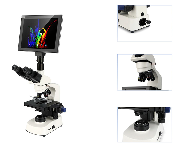 HC-B079A 저렴한 전자 현미경 의료 실험실용 전자 - Medical Lab Microscope 리뷰 및 가격